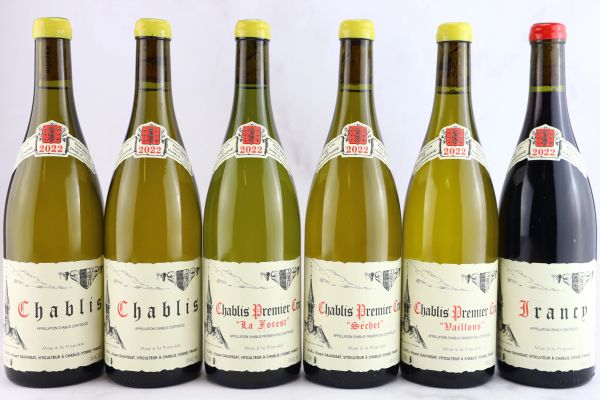 



Selezione Domaine Dauvissaut 2022