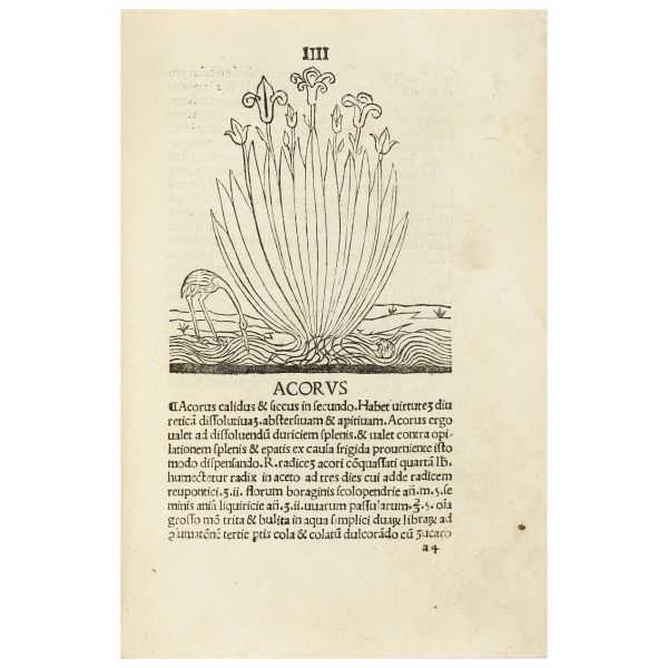 Very rare herbarium, the first printed in Italy by the first printer active in Vicenza