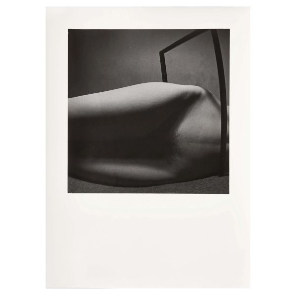 



ANDREIJ PILICHOWSKI RAGNO