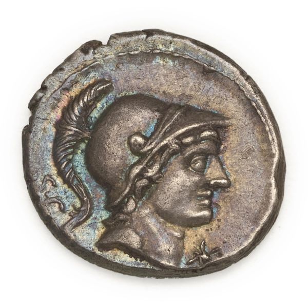 



Rustia - Denario L. Rustius (74 a.C.) - Zecca: Roma