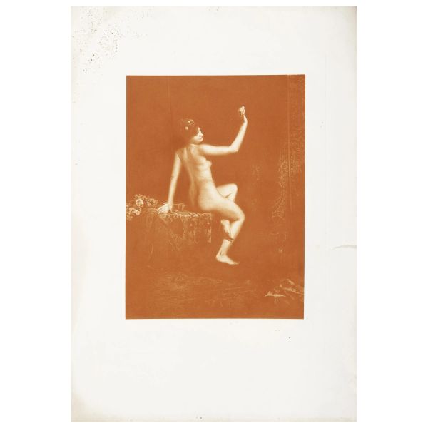 Two Art Nouveau albums dedicated to the dawn of photography