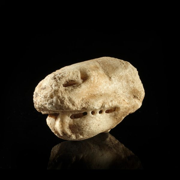 MISCELLANEA MARMOREA