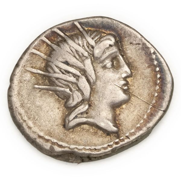 



Lucretia - Denario L. Rustius (74 a.C.) - Zecca: Roma