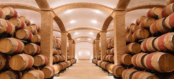 Fèlsina, Castelnuovo Berardenga (SI)