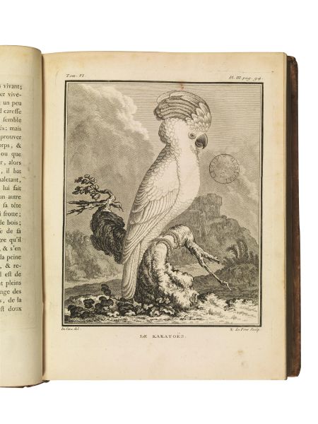      (Ornitologia - Illustrati 700)   BUFFON, Georges Louis.   Histoire naturelle des oiseaux. Tome premier [-neuvi&egrave;me].   A Paris, de l&rsquo;Imprimerie royale, 1770-1783. 