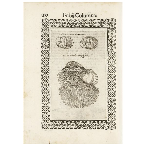Copia completa di una delle più antiche opere di botanica con illustrazioni incise in rame
