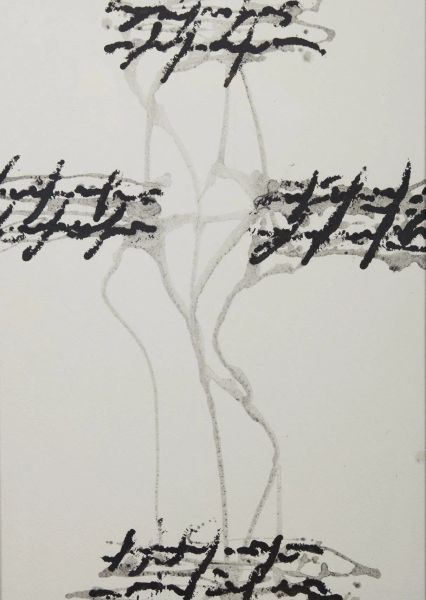      ALFREDO RAPETTI MOGOL 