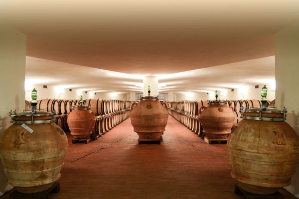 Fontodi, Greve in Chianti (SI)