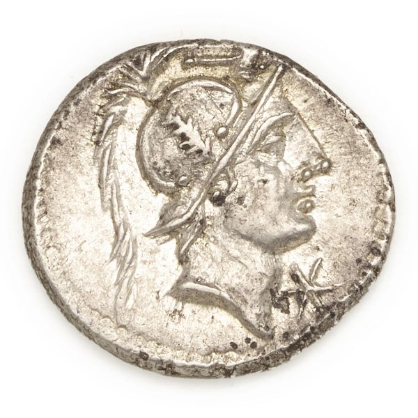 



Poblicia - Denario C. Publicius Malleolus, A. Postumius Sp. f. Albinus and L. Metellus (96 ? a.C.)&nbsp; - Zecca: Roma