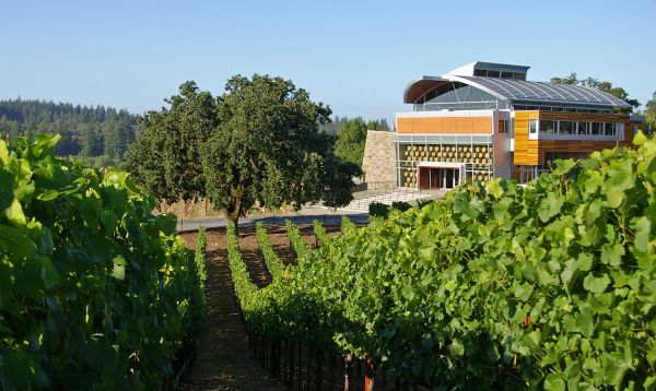 John and Kathe Dyson - Williams Selyem Estate 