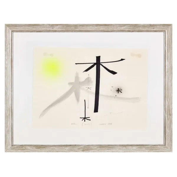 Bruno Munari - 



BRUNO MUNARI 