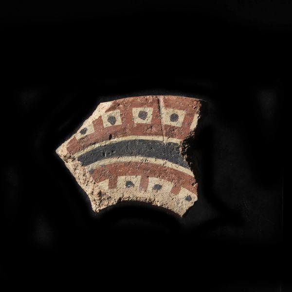 



FRAMMENTO PARIETALE