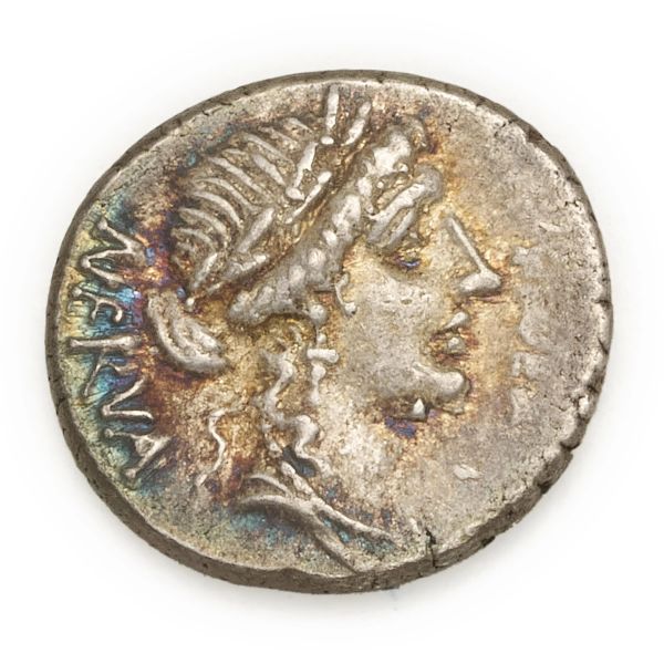 



Licinia - Denario A. Licinius Nerva (47 a.C.) - Zecca: Roma