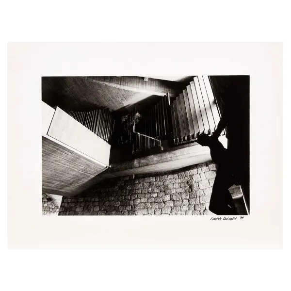 Davide Dainelli - 



DAVIDE DAINELLI