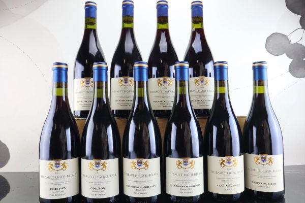 Selezione Domaine Thibault Liger-Belair 2014