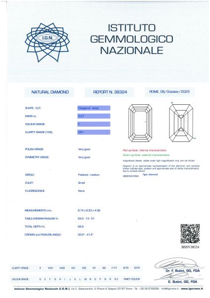 PAIO DI LUNGHI ORECCHINI CON DIAMANTI