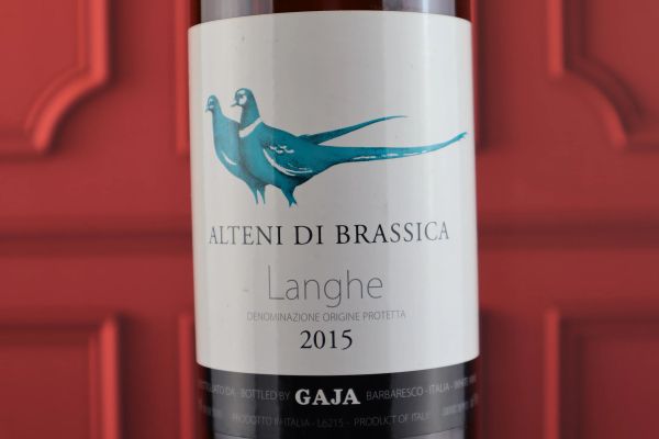 



Alteni di Brassica Gaja