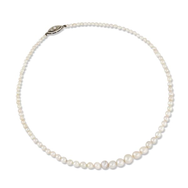 



NATURAL PEARL NECKLACE 