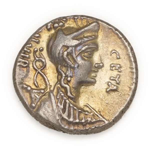 



Hosidia - Denario C. Hosidius C.f. Geta (68 o 71 a.C.) - Zecca: Roma