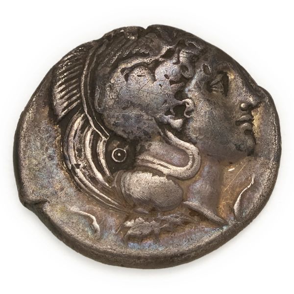  Velia - Nomos o Didramma (ca 340-334 a.C.)