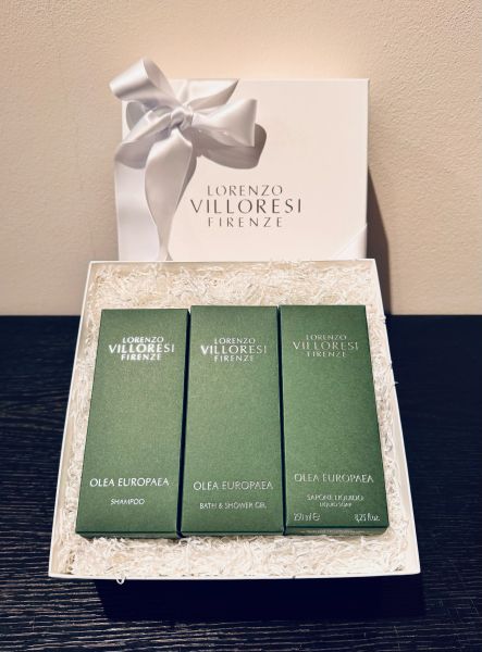 LORENZO VILLORESI - Firenze