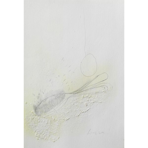 PIER PAOLO CALZOLARI