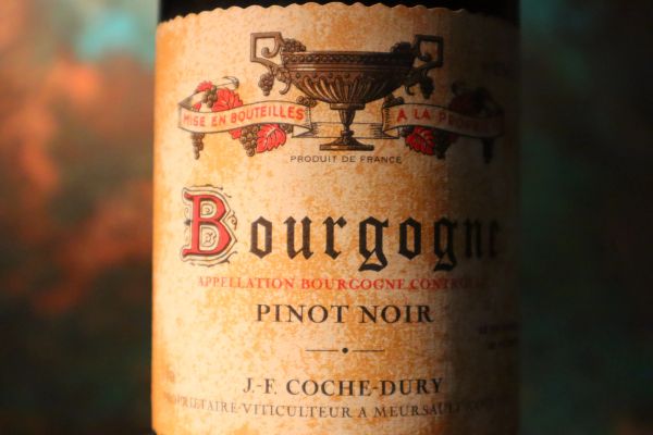 



Bourgogne Pinot Noir Domaine J.-F. Coche Dury 2002