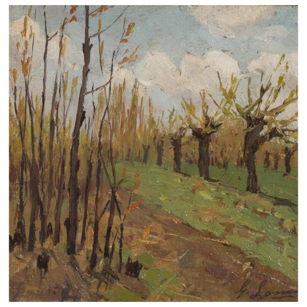 Giovanni Lomi - 



Giovanni Lomi