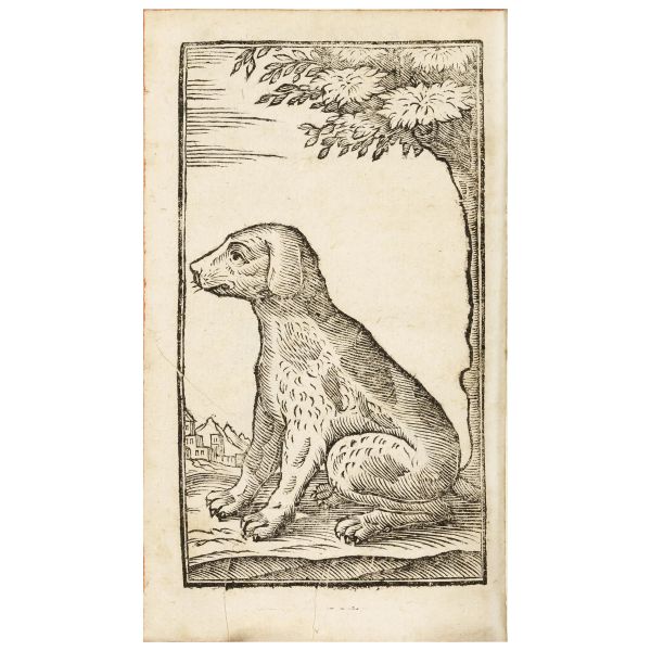 One of the earliest treatises of shooting with a gun