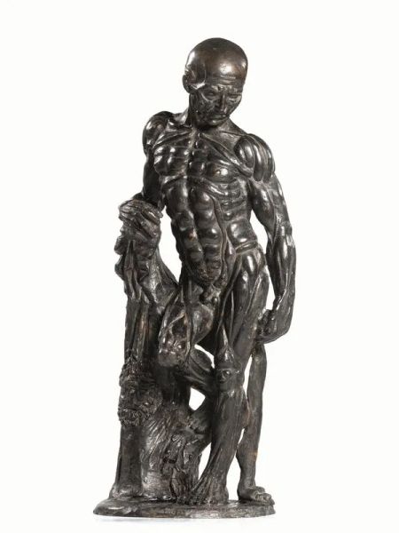 da guilielmus paludanus nudo 