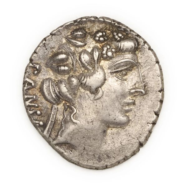 



Vibia - Denario C. Vibius C.f. C.n. Pansa Caetronianus (48 a.C.) - Zecca: Roma