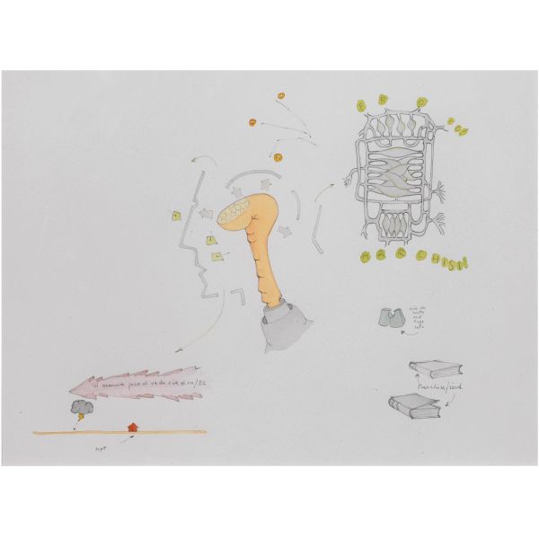 GIANFRANCO BARUCHELLO