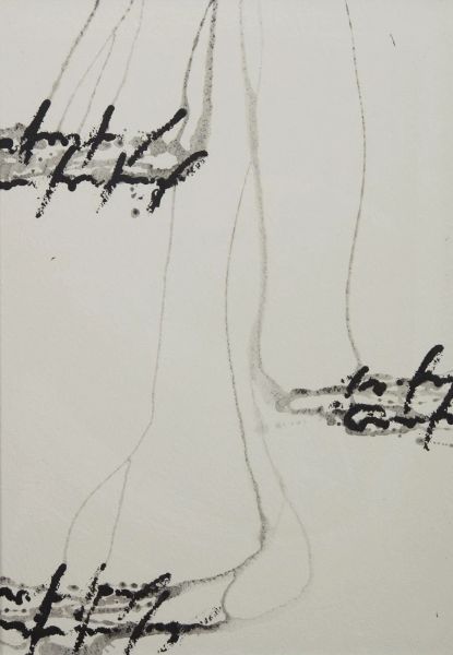      ALFREDO RAPETTI MOGOL 