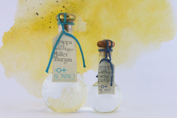 



Selezione Grappa Cru Monovitigno Nonino