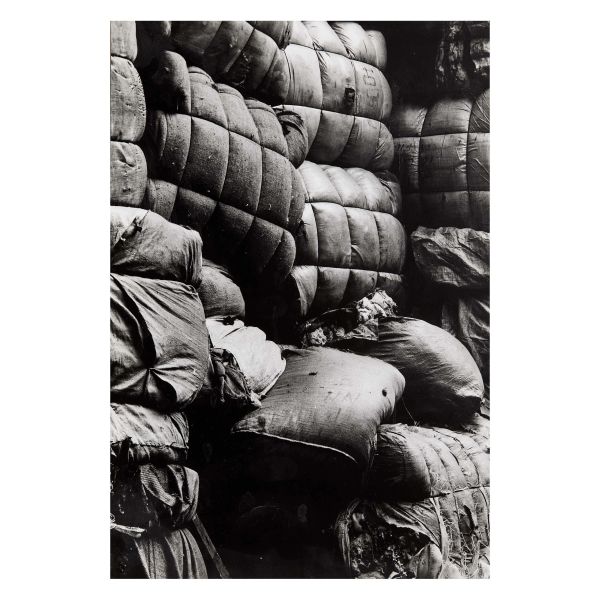 Gianluca Guetta - 



GIANLUCA GUETTA