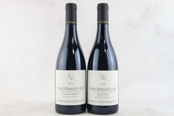 



Selezione Vosne-Roman&eacute;e Domaine Sylvain Cathiard 2016