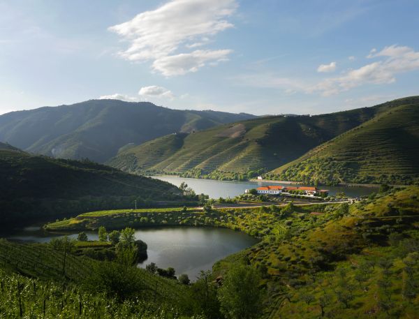 Quinta do Tedo valle del Douro, Portogallo 