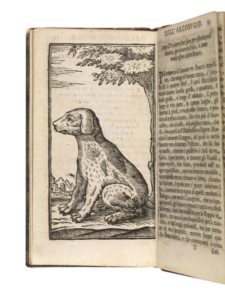      (Caccia - Armi da fuoco)   BONFADINI Vita.   La Caccia dell&rsquo;arcobugio del cap. Vita Bonfadini. Con la prattica del tirare in volo, in aere, &amp; a borita. Con il modo di ammaestrar bracchi, e curarli da molte malattie; di conoscer la diversita de gli uccellami, &#8230;   In Bologna, et in Bassano, per Gio. Antonio Remondini, (1678). 