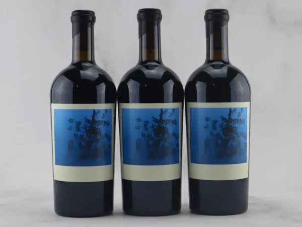 



Shakti Sine Qua Non 2014