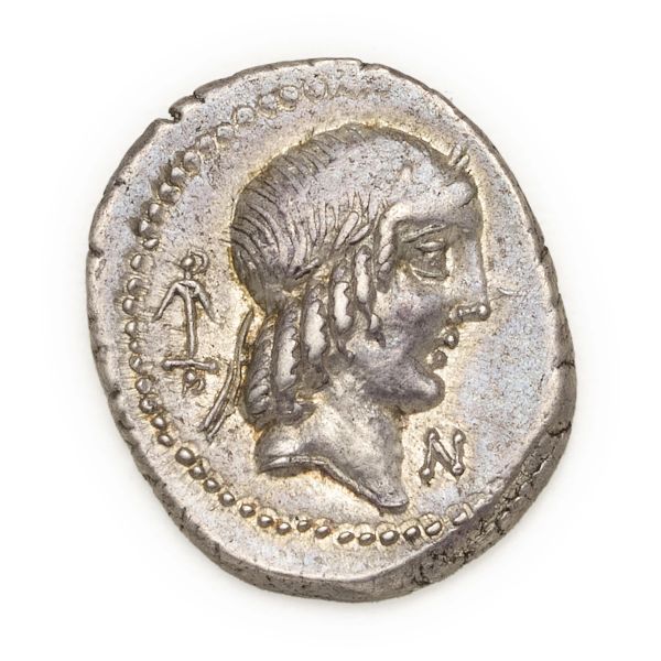 



Calpurnia - Denario L. Calpurnius Piso Frugi (90 a.C.)&nbsp; - Zecca: Roma