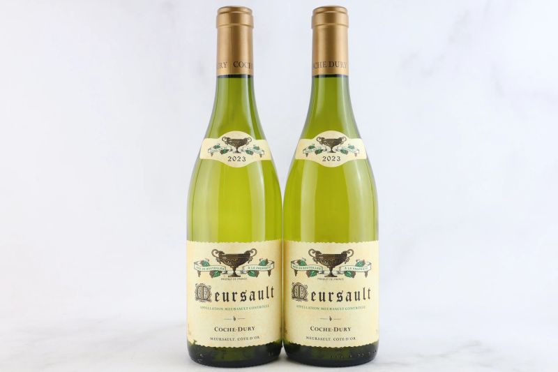 



Meursault Domaine J.-F. Coche Dury 2023  - Asta La Joie du Vin - Vini Pregiati e da Collezione - Pandolfini Casa d'Aste