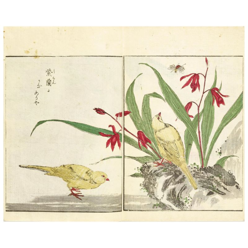 



A group of six Japanese art books  - Auction BOOKS, MANUSCRIPTS,  AUTOGRAPHS AND PRINTS - Pandolfini Casa d'Aste