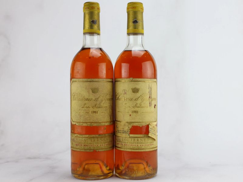 



Ch&acirc;teau d&rsquo;Yquem 1981  - Asta ALCHIMIA - Vini Pregiati e da Collezione - Pandolfini Casa d'Aste