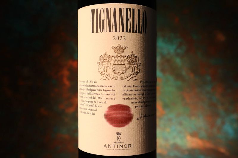 



Tignanello Antinori 2022  - Asta Smartwine 2.0 | Christmas Edition - Pandolfini Casa d'Aste