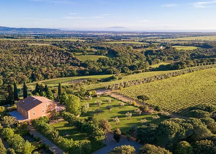 Tenuta Biserno - Bibbona (LI)  - Asta PANDOLFINI PER AMICI DI URI - ASTA BENEFICA PER SOSTENERE LA RICERCA SCIENTIFICA UROLOGICA - Pandolfini Casa d'Aste