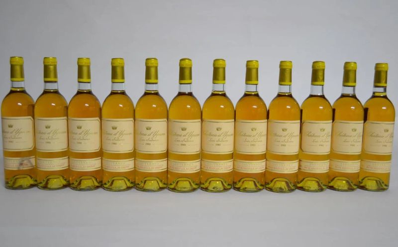 Chateau d Yquem 1981  - Auction PANDOLFINI FOR EXPO 2015: Finest and rarest wines - Pandolfini Casa d'Aste