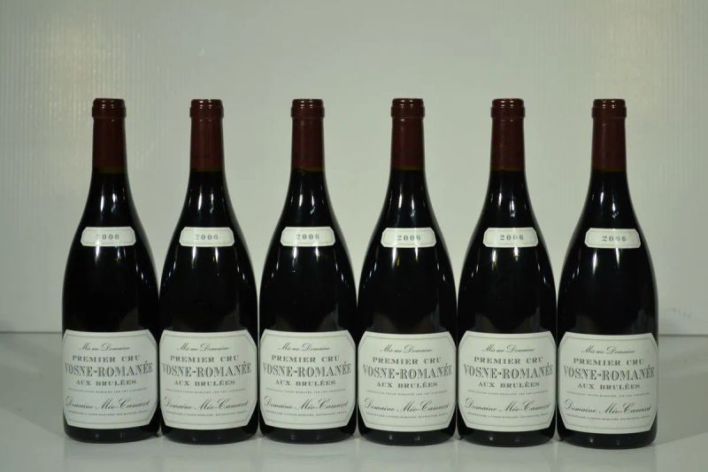 Vosne-Romanee Aux Brulees Premier Cru Domaine Meo-Camuzet 2006  - Auction Finest and Rarest Wines - Pandolfini Casa d'Aste