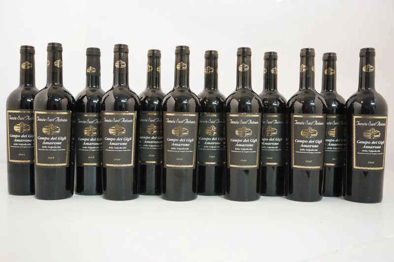     Amarone della Valpolicella Classico Campo dei Gigli Tenuta Sant&rsquo;Antonio 2005   - Asta ASTA A TEMPO | Smart Wine & Spirits - Pandolfini Casa d'Aste
