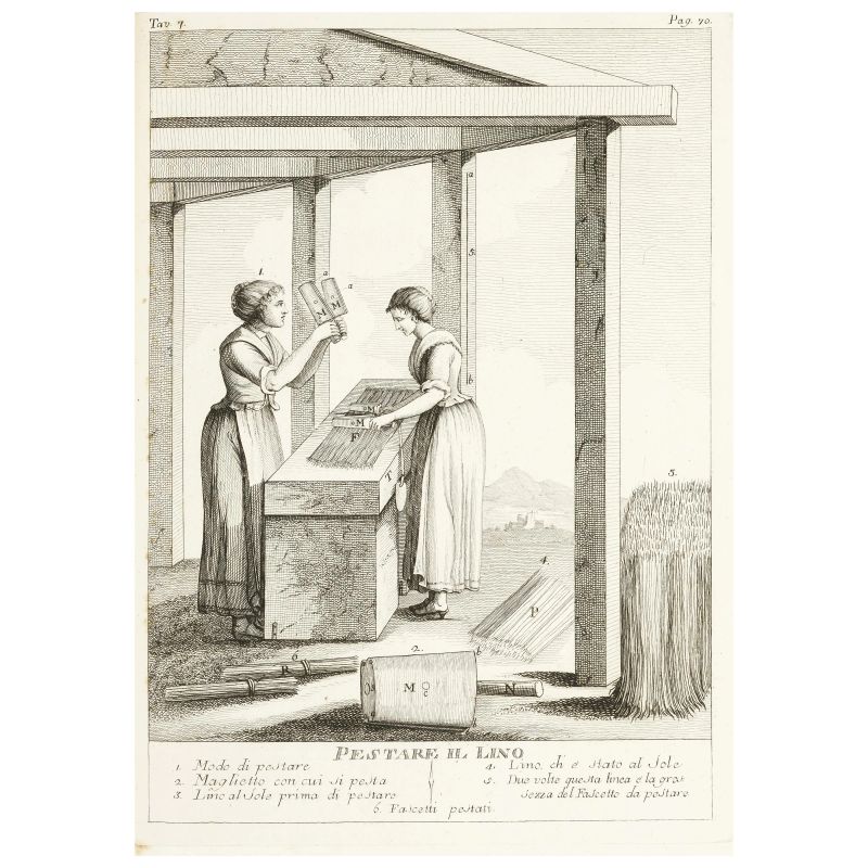Trecco, Giovanni Battista. Coltivazione e governo del lino marzuolo. Vicenza, Bardella, 1792.  - Asta LIBRI, MANOSCRITTI, AUTOGRAFI E STAMPE - Pandolfini Casa d'Aste