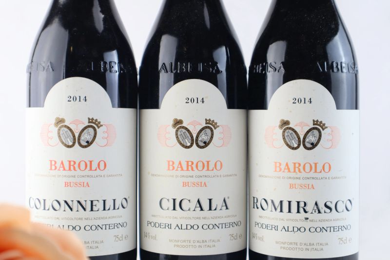 



Selezione Barolo Bussia Poderi Aldo Conterno 2014  - Asta Smartwine 2.0 | Fleurs de Vigne - Pandolfini Casa d'Aste